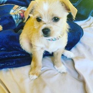 Meet your Posher, Tiffany